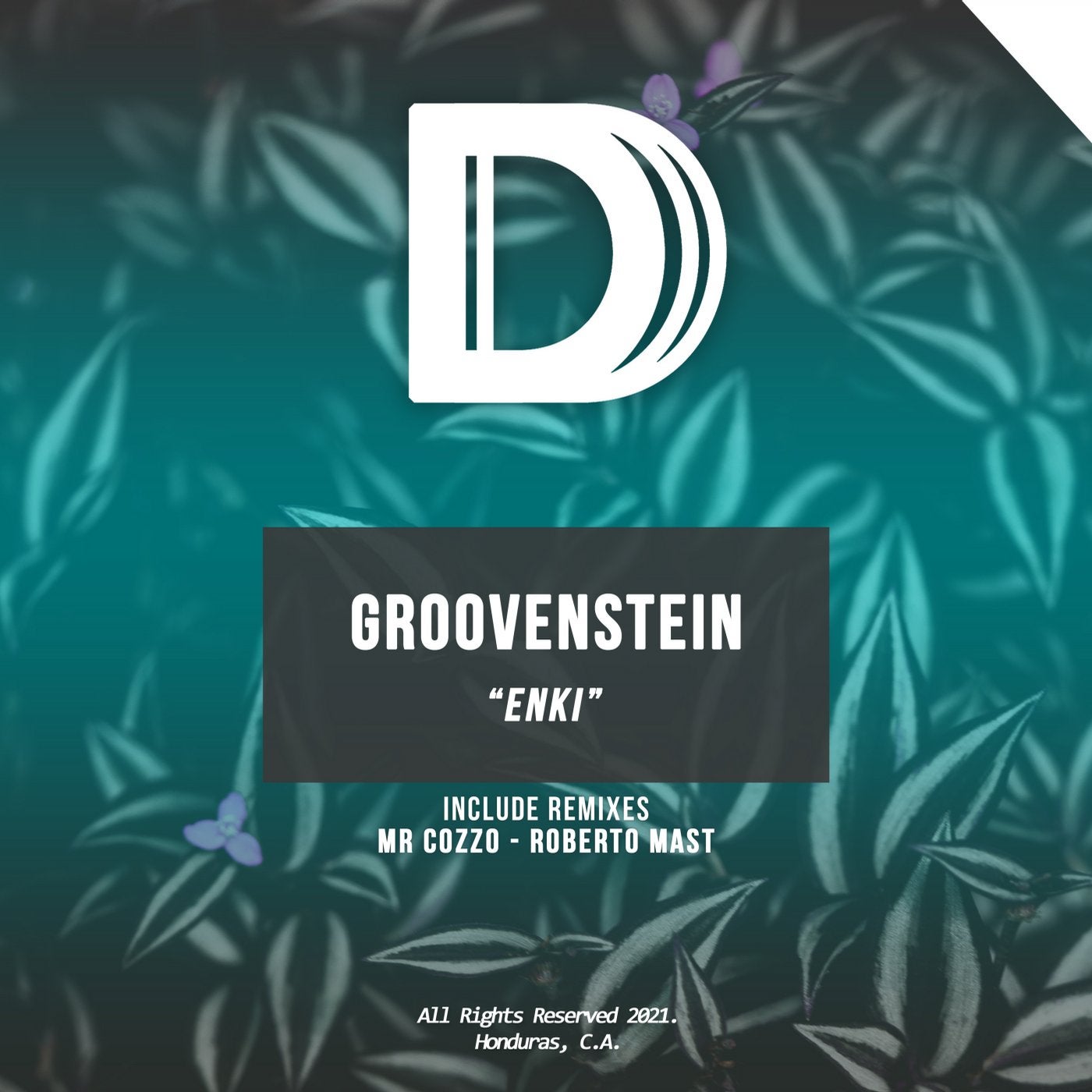 Groovenstein – Enki [DDR54]
